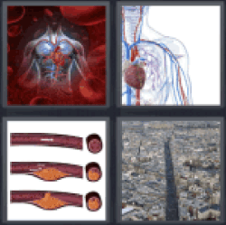 4-pics-1-word-artery