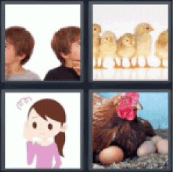 4 pics 1 word chicks