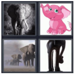 4-pics-1-word-elephant