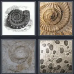 4-pics-1-word-fossil