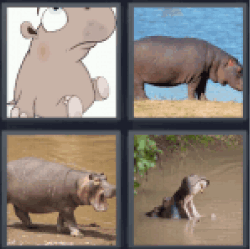 4-pics-1-word-hippo