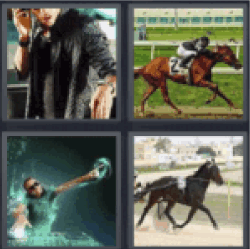 4 pics 1 word horse