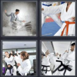 4 Pics 1 Word Karate