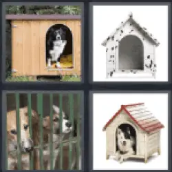 4 Pics 1 Word Kennel