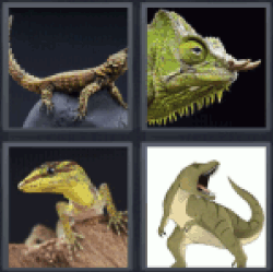4-pics-1-word-lizard