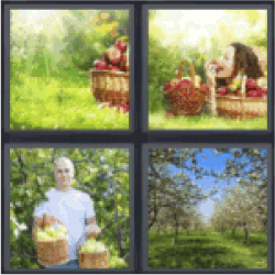 4-pics-1-word-orchard