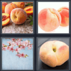 4-pics-1-word-peach