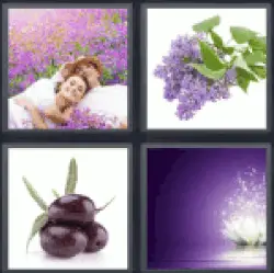 4-pics-1-word-purple