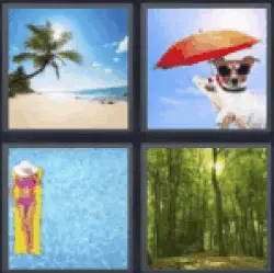 4 pics 1 word beach with palm tree