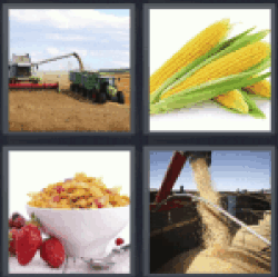 4-pics-1-word-corn