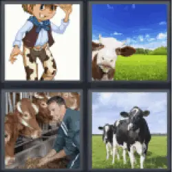 4 pics 1 word 3 letter cow, farm, farmer