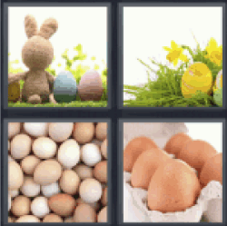 4-pics-1-word-eggs