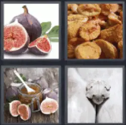 4 Pics 1 Word fruits