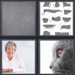 4 Pics 1 Word Old lady