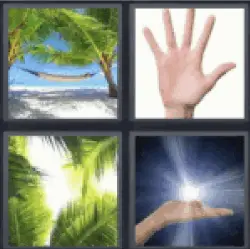 4-pics-1-word-palm