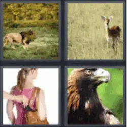 4 Pics 1 Word stealing from a Womans Bag