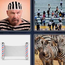 4 pics 1 word Zebras prisoner