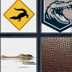 4 pics 1 word 9 letters crocodile skin sign
