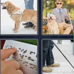 4 pics 1 word 9 letters guide dog, blind