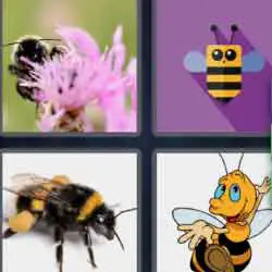 4 pics 1 word 9 letters bee on a flower, drawing
