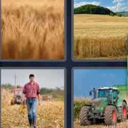 4 pics 1 word 9 letters tractor, grain field