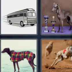 4 pics 1 word 9 letters bus racing dog