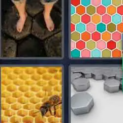 4 pics 1 word 9 letters honeycomb feet