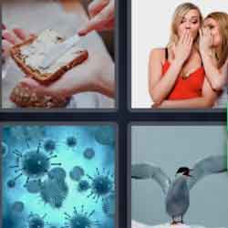 4 pics 1 word 9 letters buttered toast, bird, women gossiping