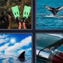 4 pics 1 word 3 letters whale, shark fin, diving fins