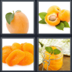 4-pics-1-word-apricot