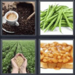 4 Pictures 1 Word Coffee beans