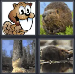 4-pics-1-word-beaver