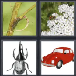 4-pics-1-word-beetle