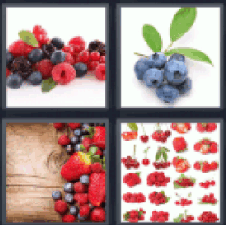 4-pics-1-word-berries
