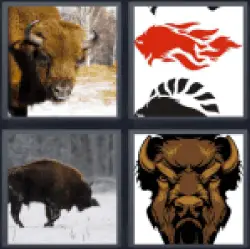 4-pics-1-word-bison