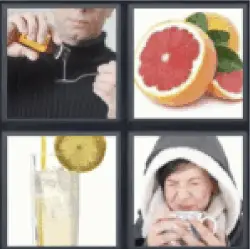 4 Pics 1 Word Grapefruit