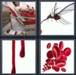 4 pics 1 word giving blood