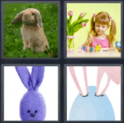 4-pics-1-word-bunny