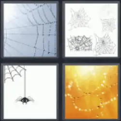 4-pics-1-word-cobweb