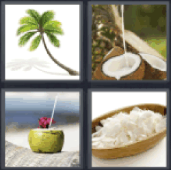 4-pics-1-word-coconut