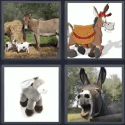 4-pics-1-word-donkey