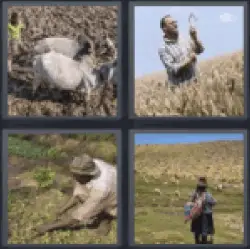 4-pics-1-word-farmer