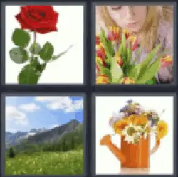 4-pics-1-word-flower