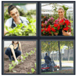 4-pics-1-word-gardener