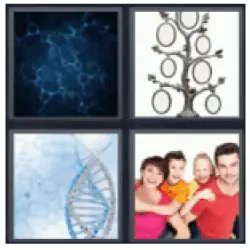 4-pics-1-word-genetics
