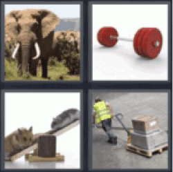 4 Pics 1 Word Big Elephant All Answers