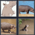 undistracted word hippo
