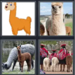 4-pics-1-word-llama