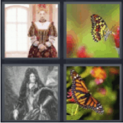 4 pics 1 word butterfly queen