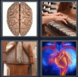4-pics-1-word-organ